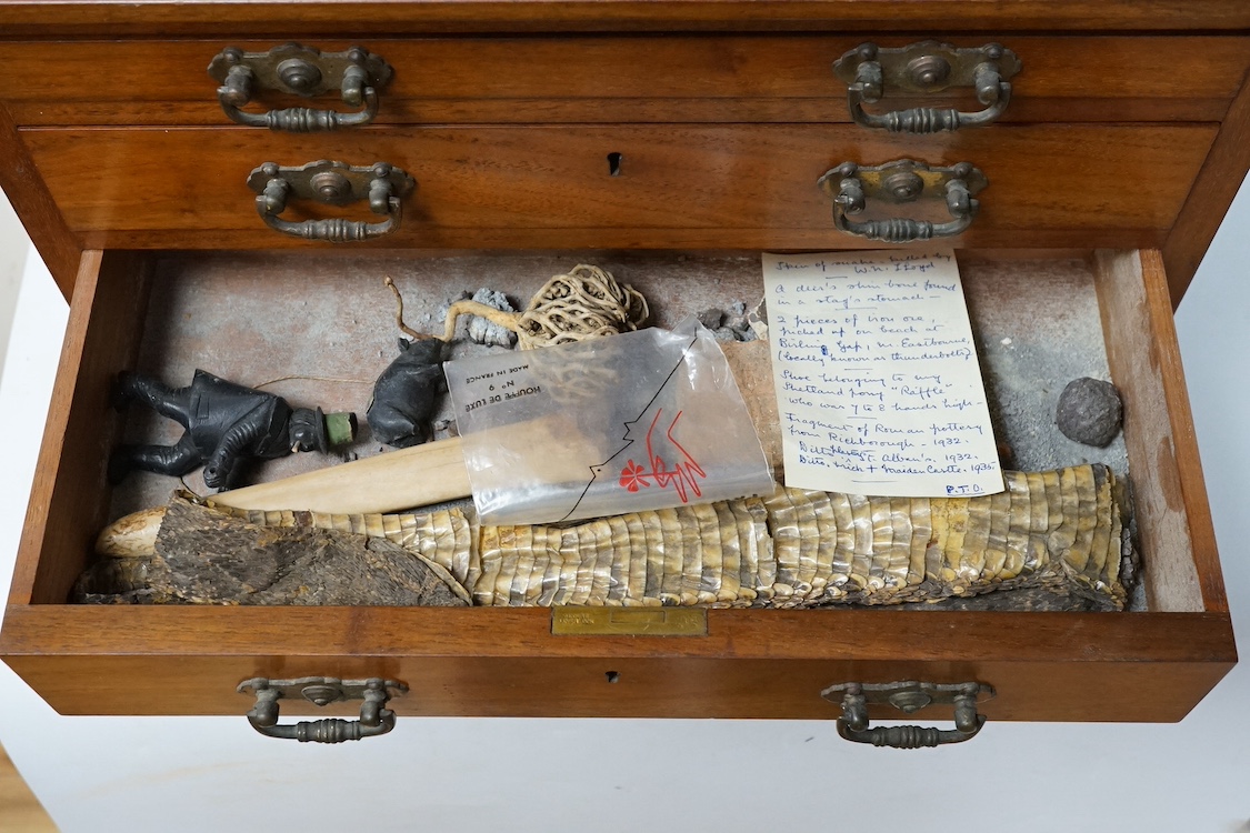 A late Victorian walnut collector's chest and contents. Condition - varies